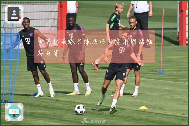 世界杯滚球买球技巧与实用网站推荐分享