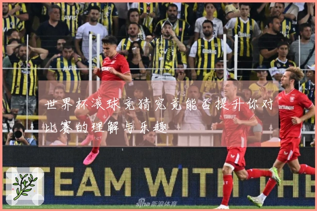 世界杯滚球竞猜究竟能否提升你对比赛的理解与乐趣