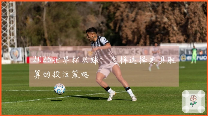 2026世界杯买球：怎样选择更具胜算的投注策略
