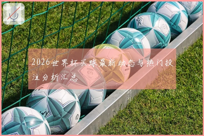 2026世界杯买球最新动态与热门投注分析汇总