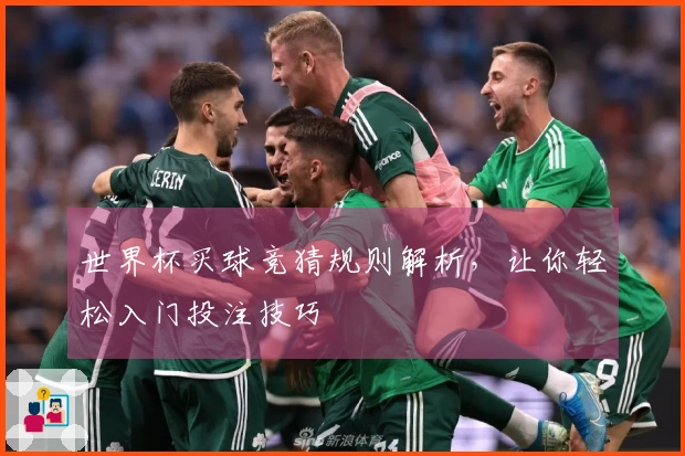 世界杯买球竞猜规则解析，让你轻松入门投注技巧