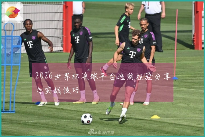 2026世界杯滚球平台选购经验分享与实战技巧