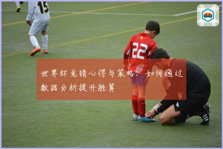 世界杯竞猜心得与策略：如何通过数据分析提升胜算