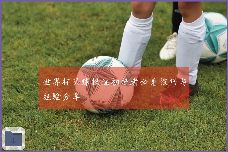 世界杯买球投注初学者必看技巧与经验分享
