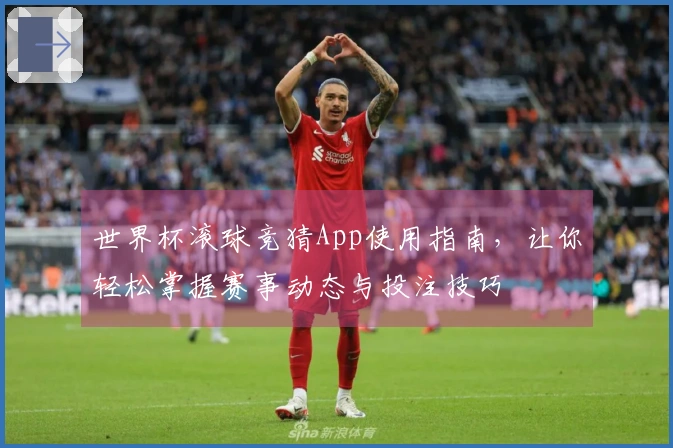 世界杯滚球竞猜App使用指南，让你轻松掌握赛事动态与投注技巧