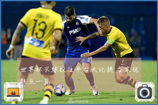 世界杯买球投注平台大比拼 各家优缺点一览
